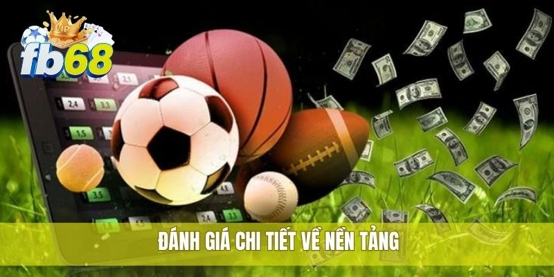2 Đánh giá chi tiết về nền tảng